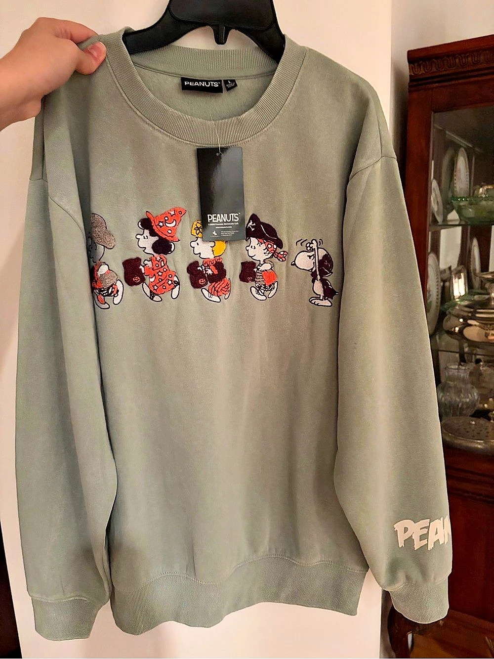 Peanuts NWT Halloween Embroidered Sweatshirt Green